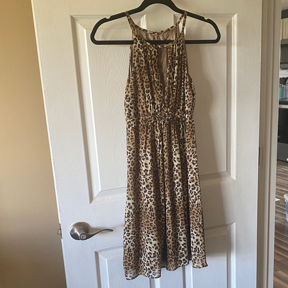 Verty Animal Print Halter Dress - Picture 1 of 4